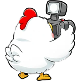La gallina camarógrafa – Chicken Road Race