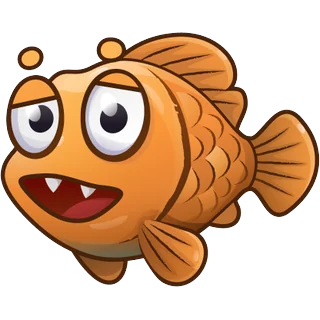Pez café – Fish Boom