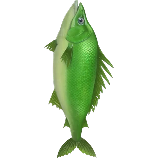 Pez verde – Ice Fish
